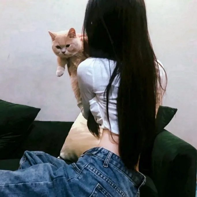 两张自白