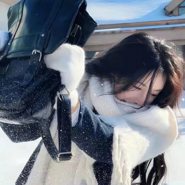 探秘企鹅王国